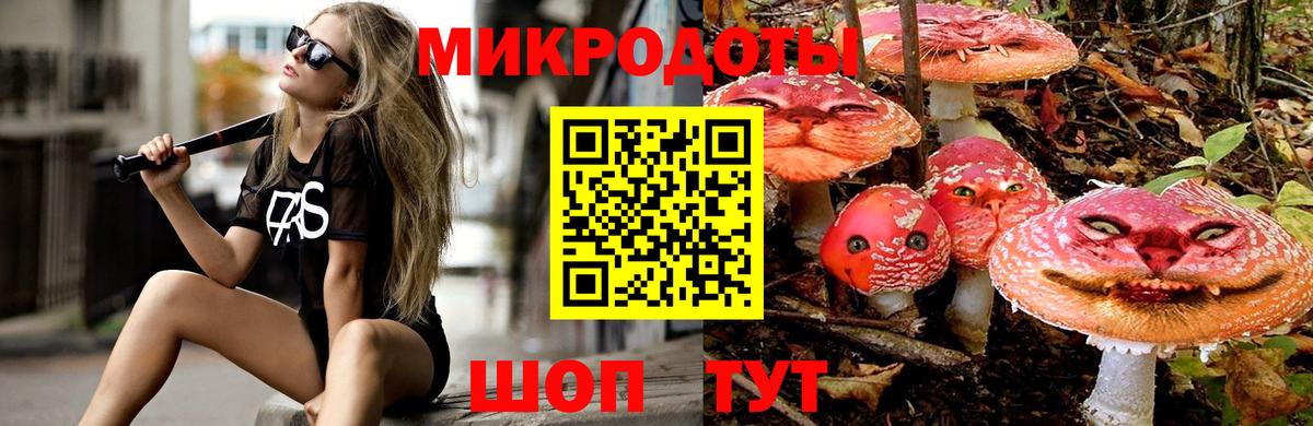 Вышний Волочёк  Галлюциногенные грибы MAGIC MUSHROOMS  Вход с VPN  Псилоцибиновые грибы мухоморы 